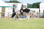 SBM_17202