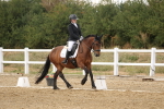 SBM_010592