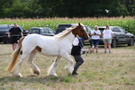 WJ6_6580
