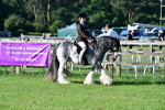 SBM_11484
