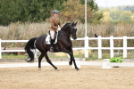 SBM_018264