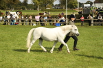 SBM_62770