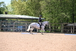 WJ6_7769