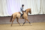 SBM_009197