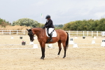 SBM_003787