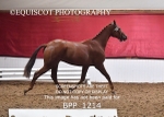 BPP_1214