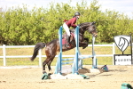 SBM_003213
