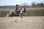 SBM_007913