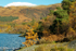 Ben Lomond from Rowardennan