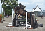 JAC_3461