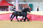SBM_22439