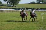 PR 250526 393