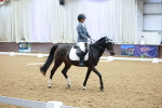 SBM_000685