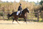 SBM_009881