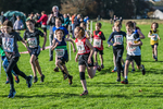 Cumbria XC-83