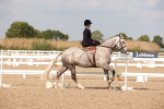Class 24 Concours d'elegance portfolio