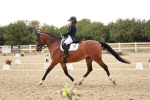 SBM_006855