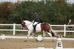 SBM_000991