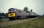 30th August 2008