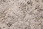 SBM_010739