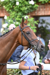 220826-178 Mr Hollywood