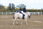 SBM_002393