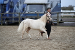 SBM_004580
