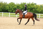 SBM_006572