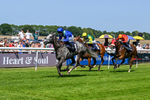 230626-Race 2-Tattie Bogle-0367
