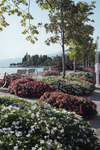 Lakeside at Bardolino