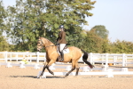 SBM_01684