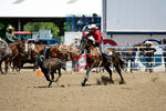 3HRodeo8-11-25_PRCASteer_05014_