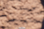 240505A-180308-07473
