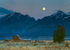 Moonset at Mormon Row