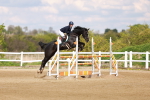SBM_002337