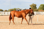 SBM_18329