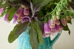 Monday 8th June 2009