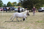WJ6_6919