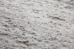 SBM_002376