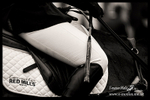 _LEZ3204bw