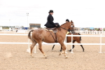 SBM_16403