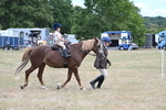 WJ7_4334