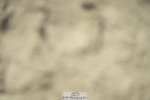 230909-104040-04920