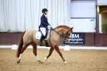 SBM_001248