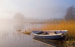 Clearing Fog