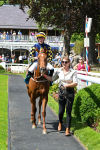 130625-Race 2-Carnation Queen-8728