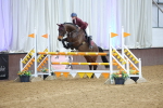 SBM_010748