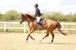 SBM_003763