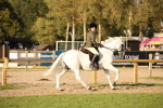 SBM_54403