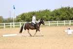 SBM_008587